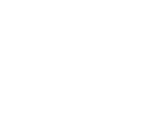VirtusLab logo